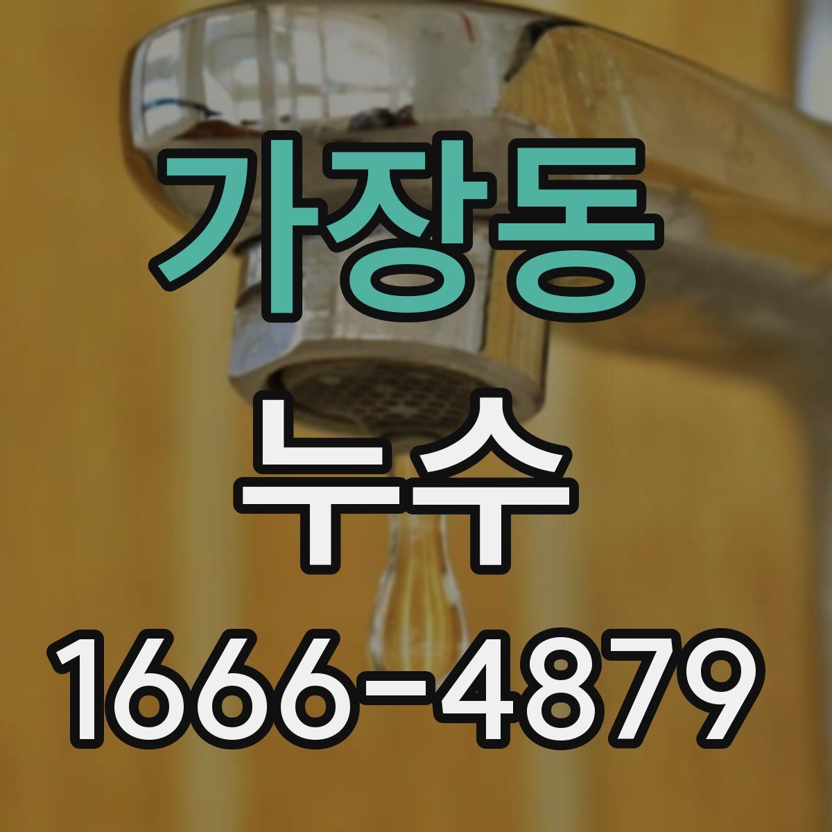 가장동 누수
