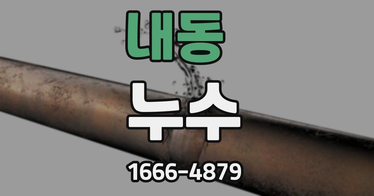 내동 누수