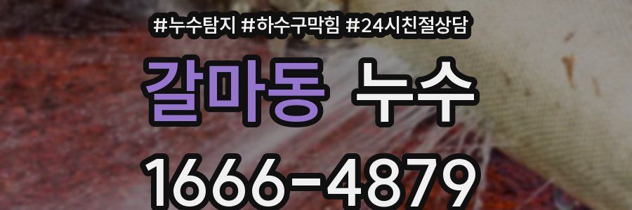 갈마동 누수