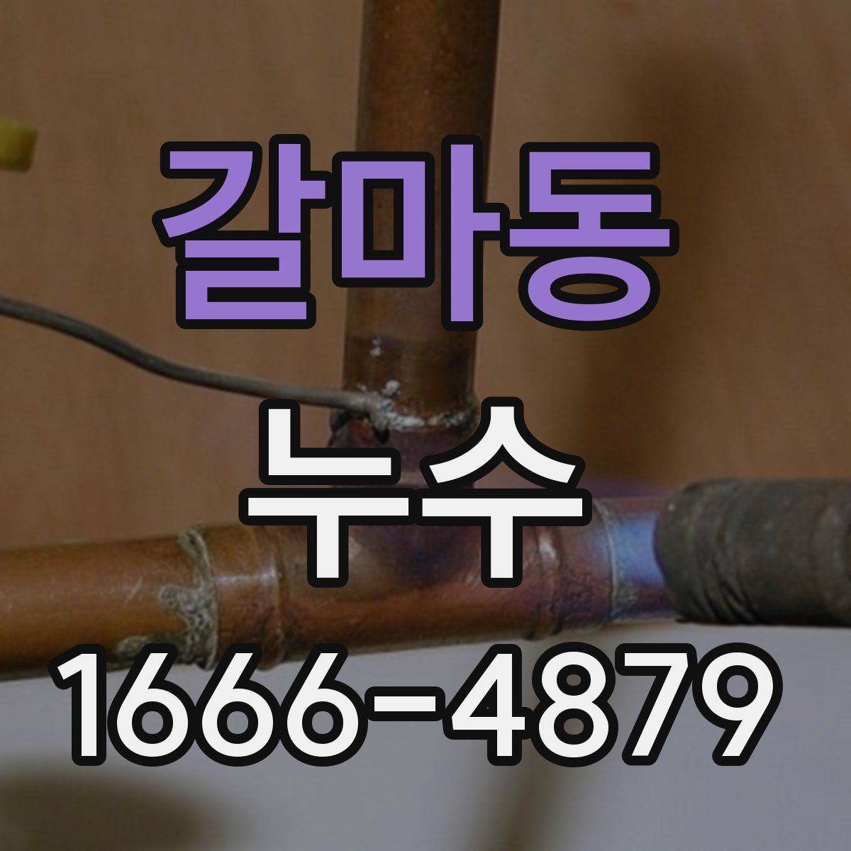 갈마동 누수