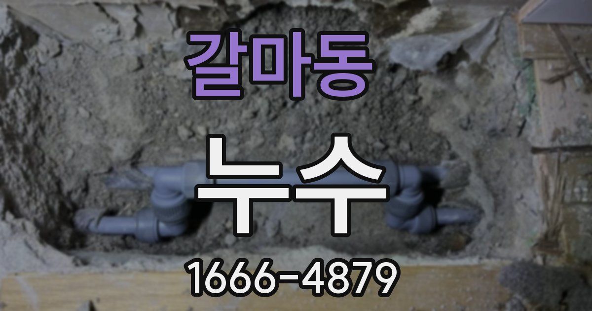 갈마동 누수