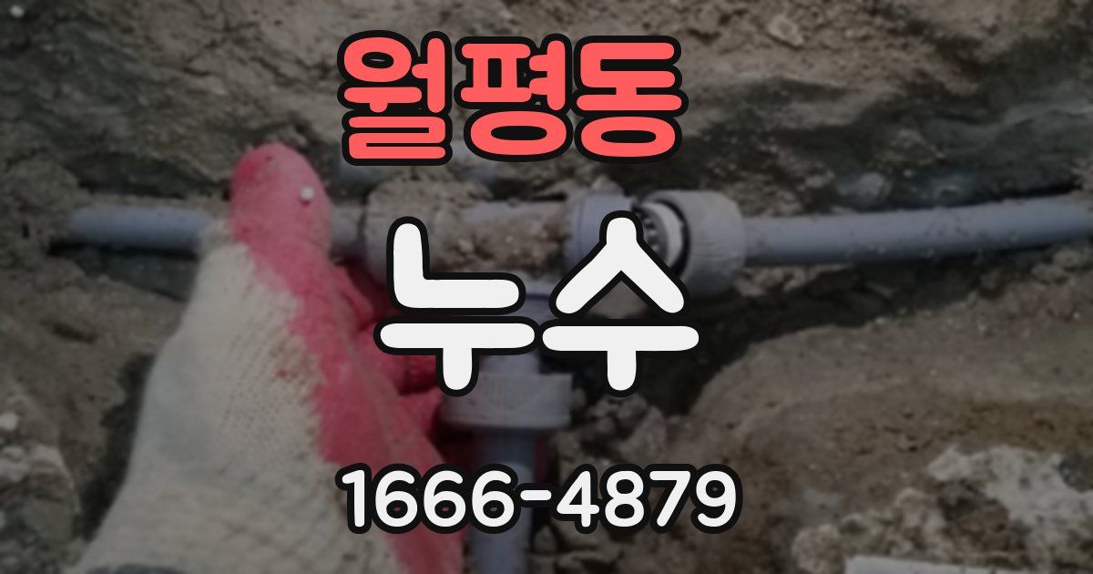 월평동 누수