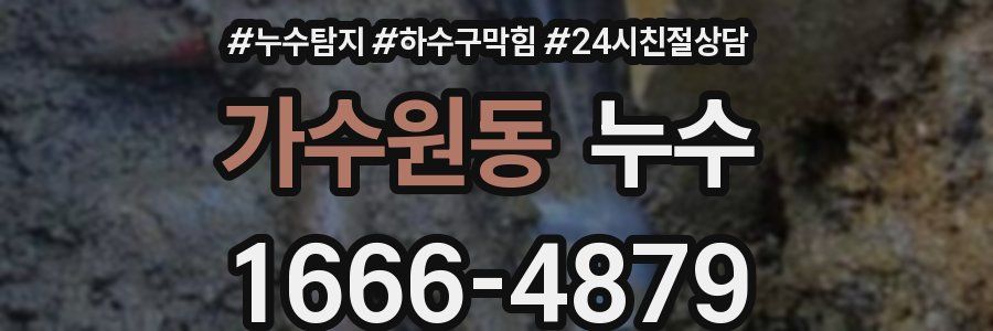가수원동 누수