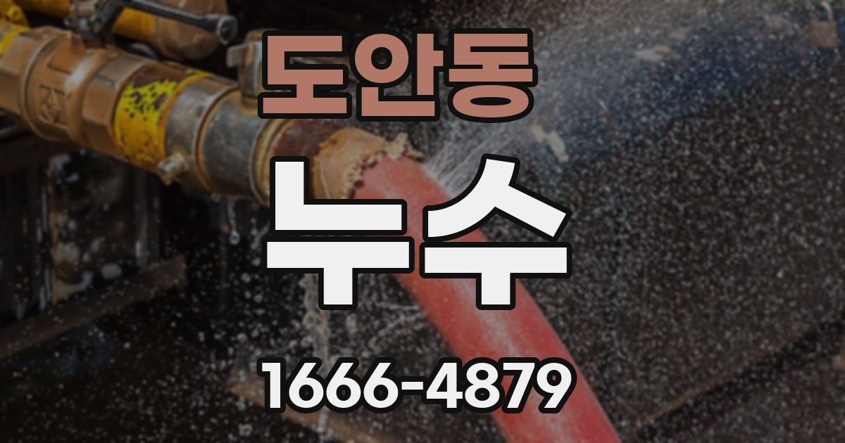 도안동 누수