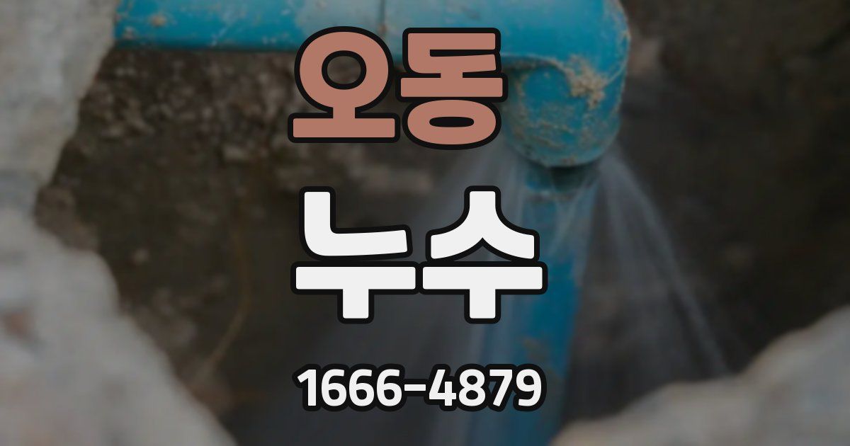 오동 누수