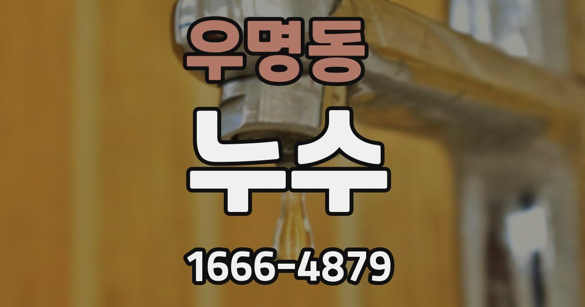 우명동 누수