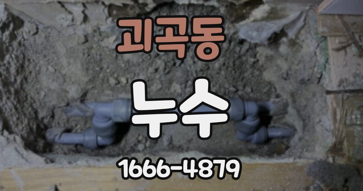 괴곡동 누수