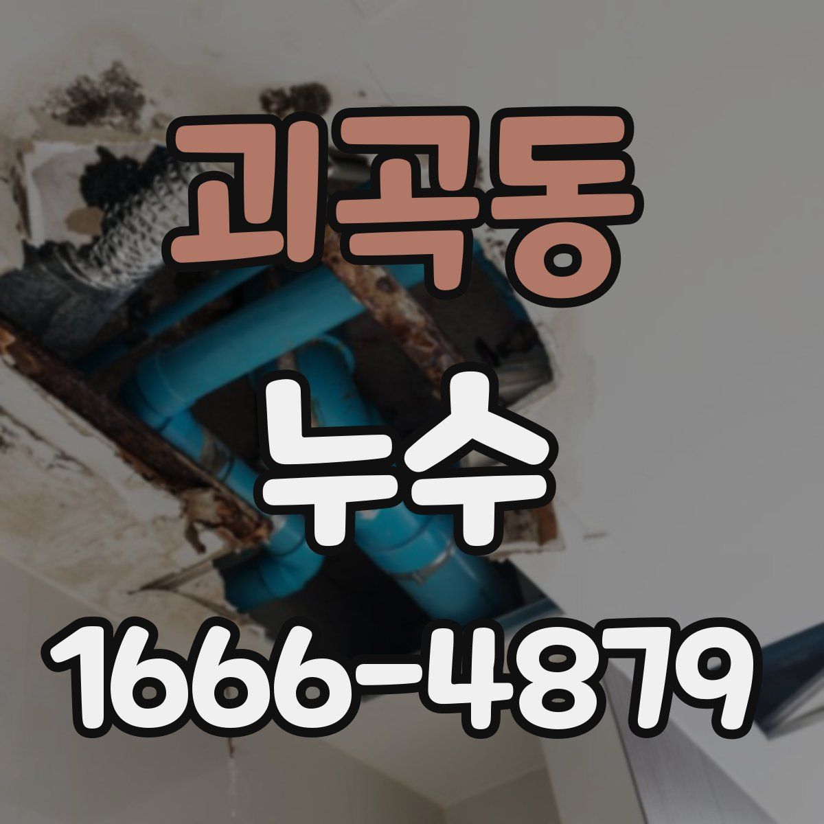 괴곡동 누수