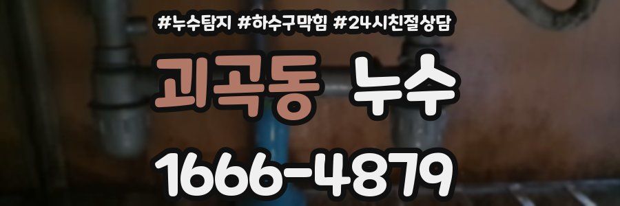 괴곡동 누수