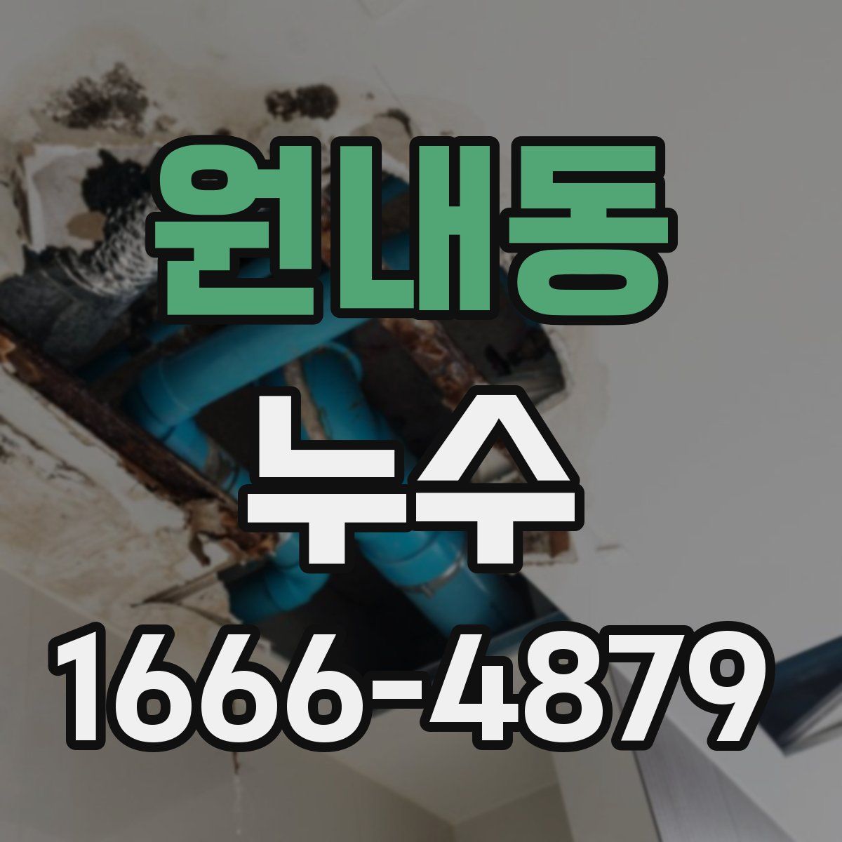 원내동 누수