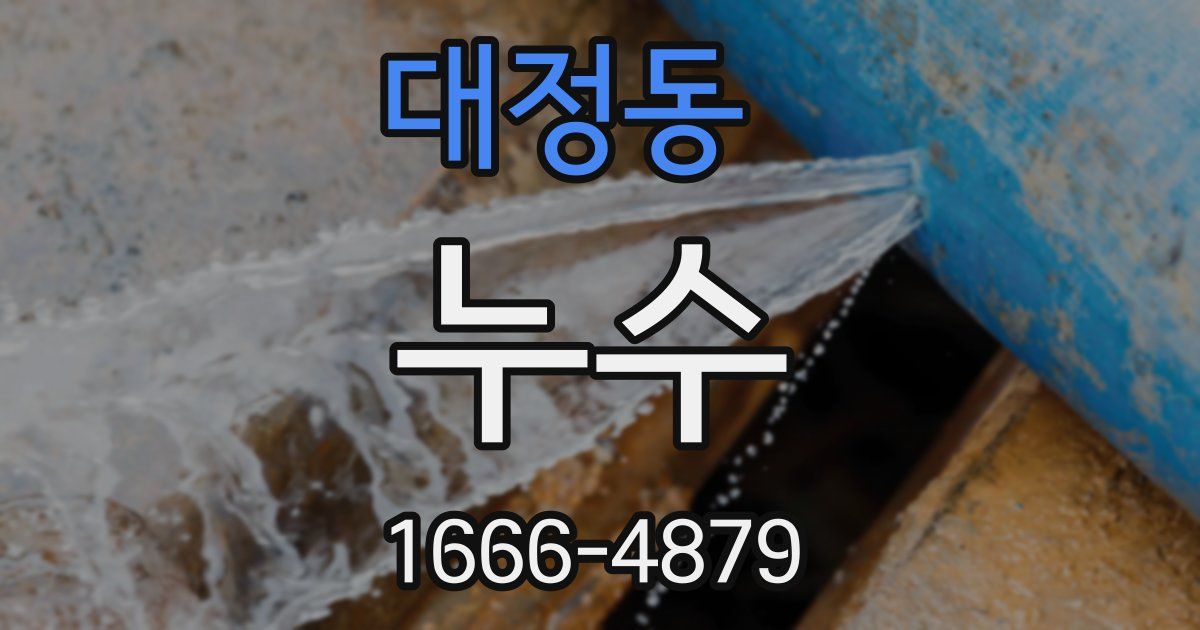 대정동 누수