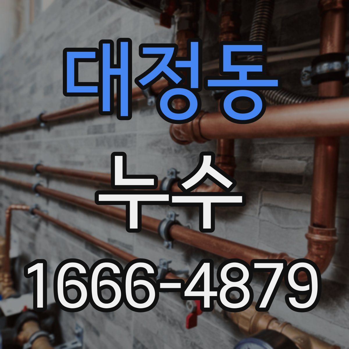 대정동 누수