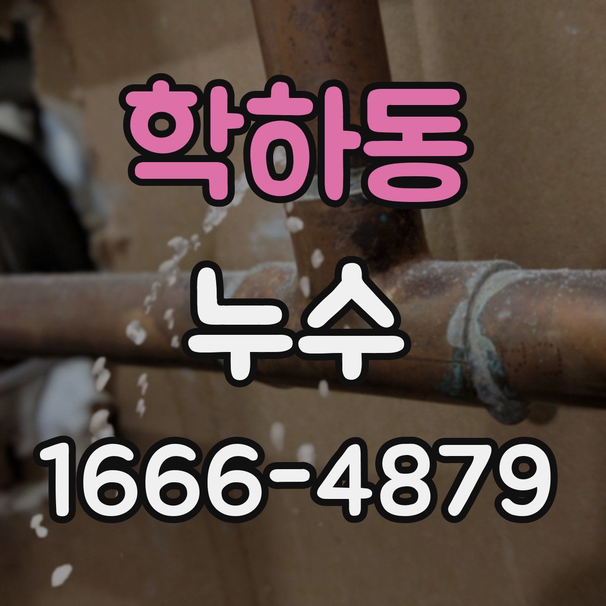 학하동 누수