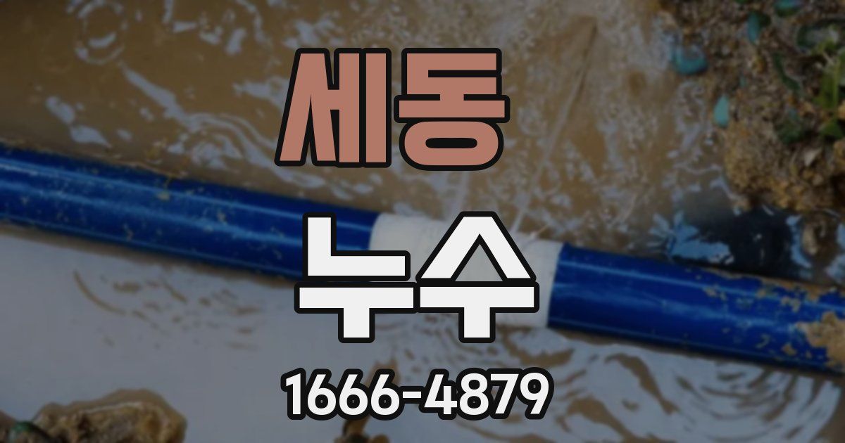 세동 누수