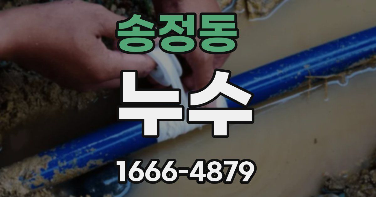 송정동 누수