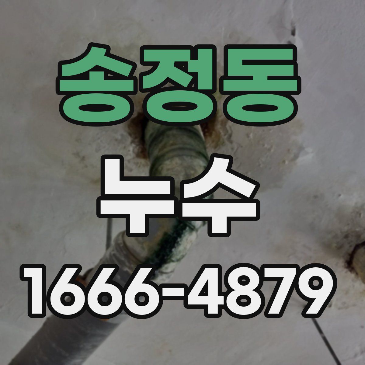 송정동 누수
