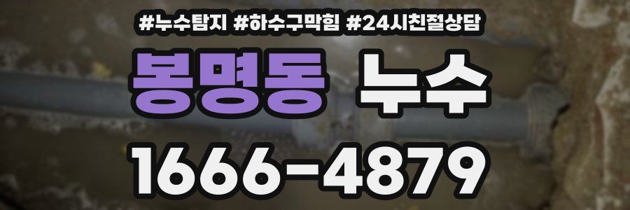 봉명동 누수