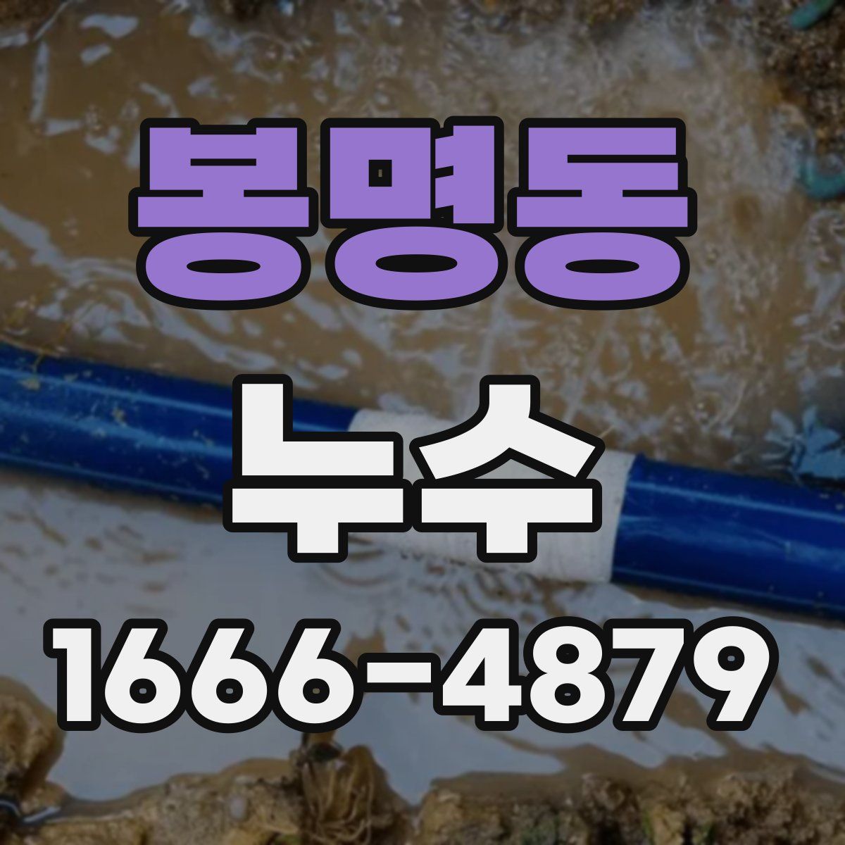봉명동 누수