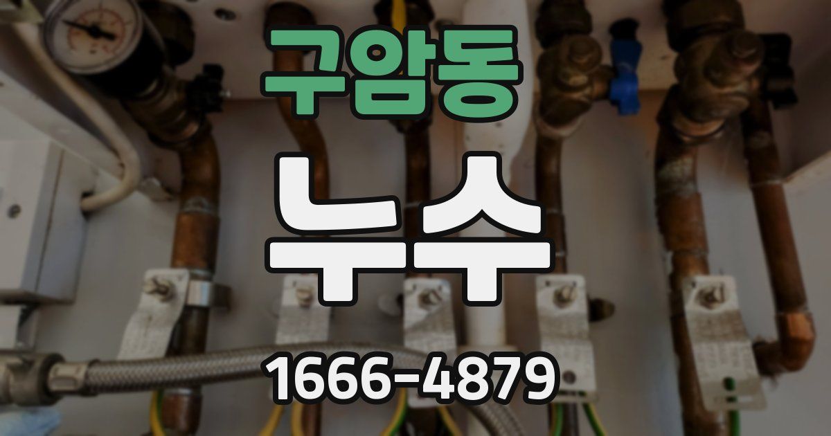 구암동 누수