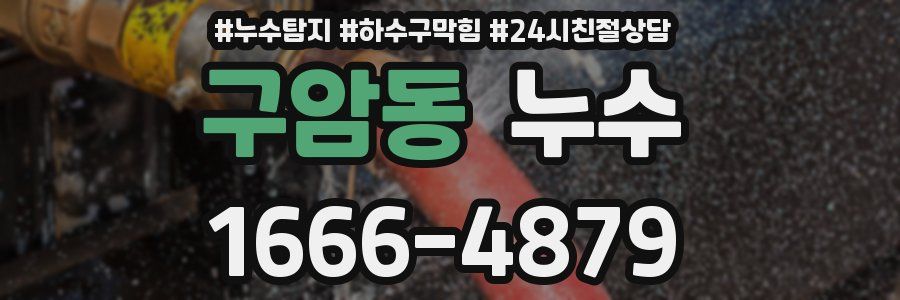 구암동 누수