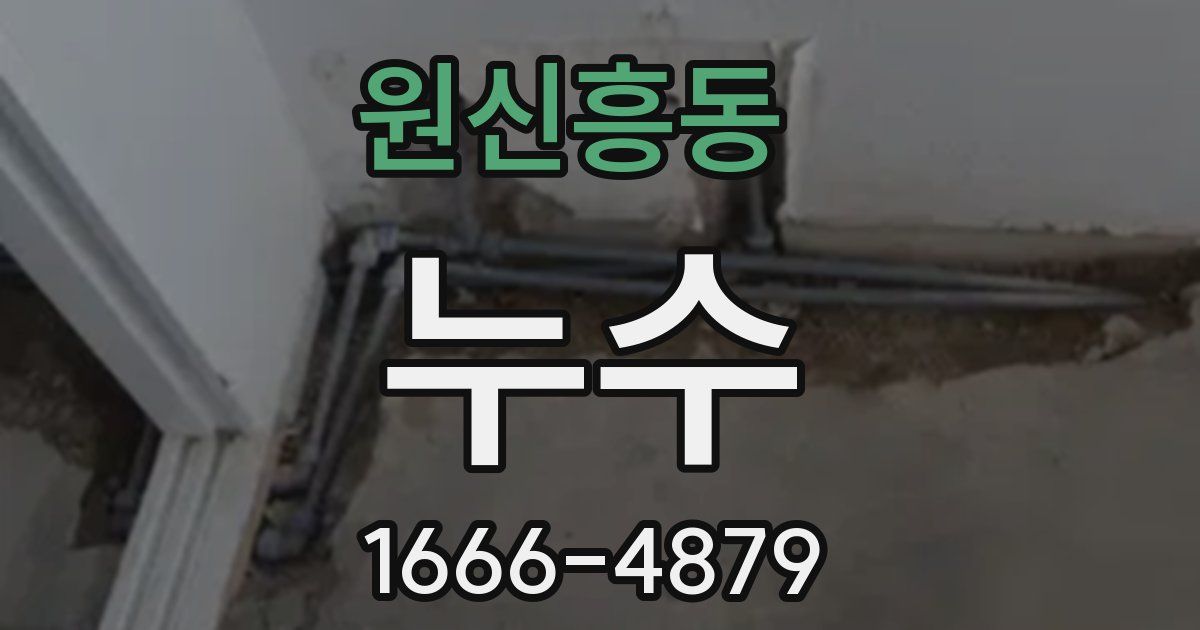 원신흥동 누수
