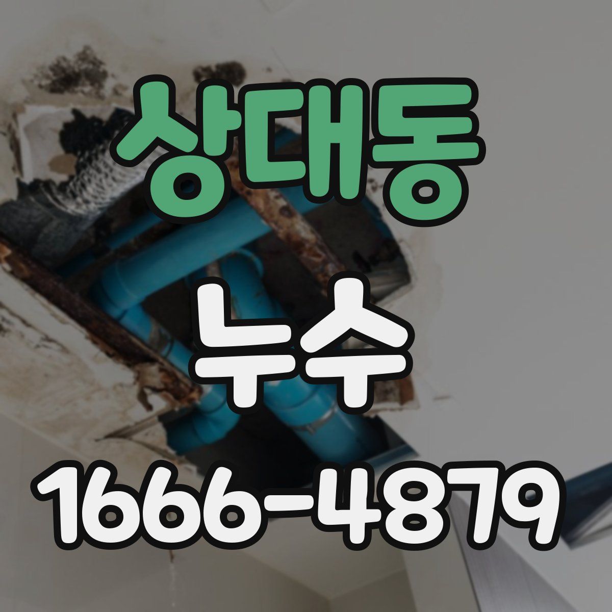 상대동 누수