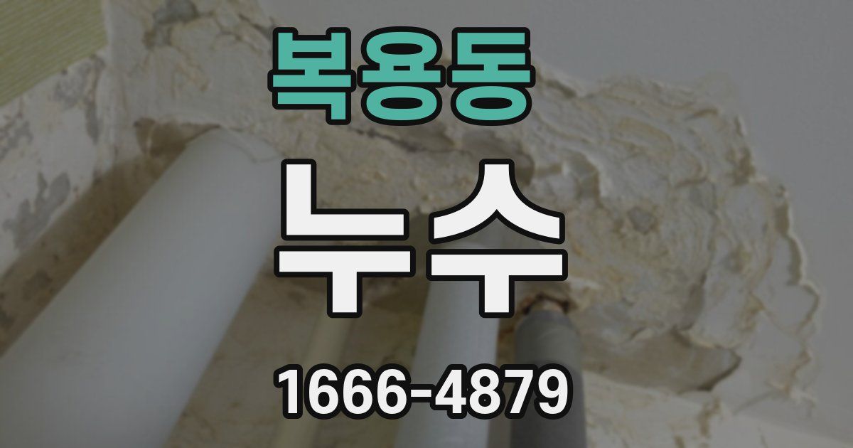 복용동 누수