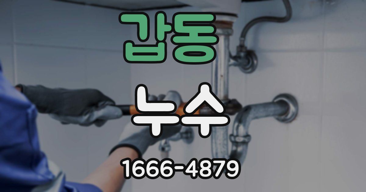 갑동 누수