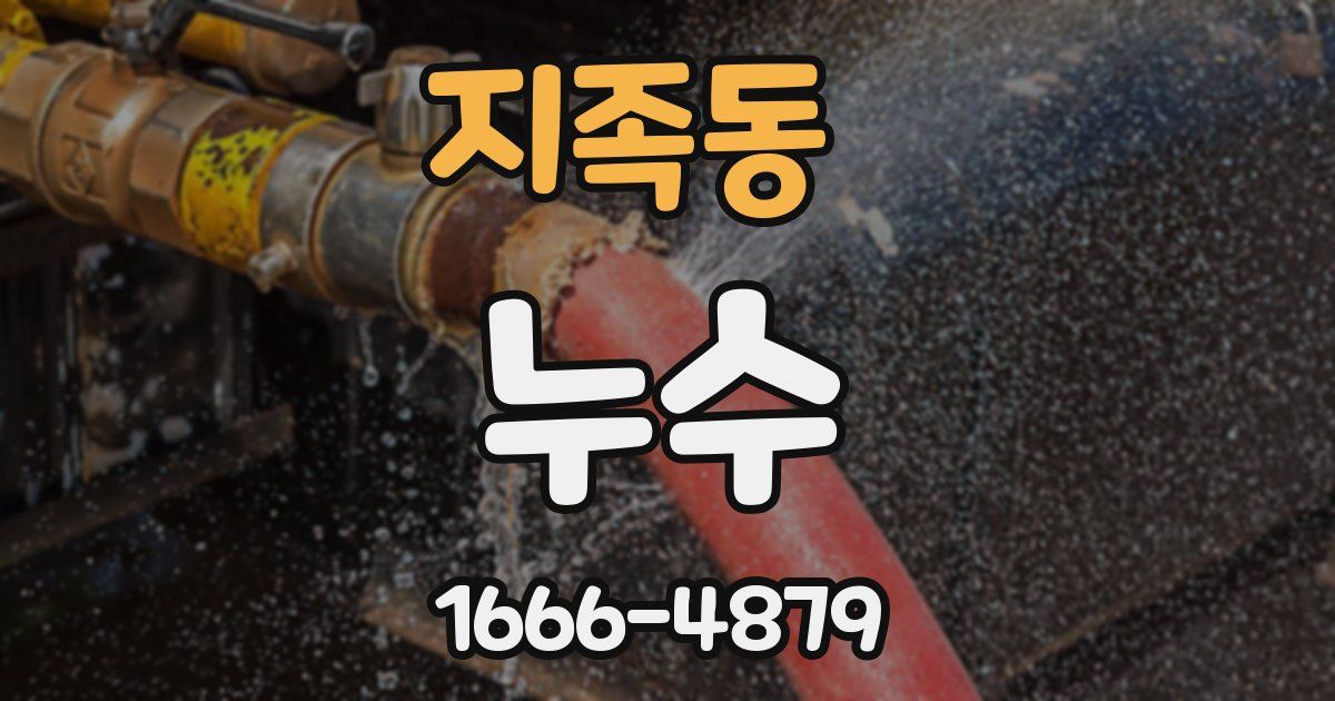 지족동 누수