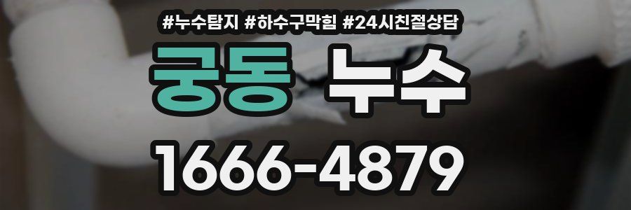 궁동 누수