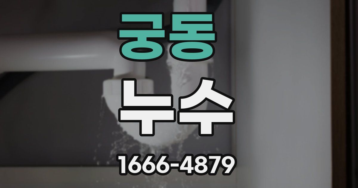 궁동 누수