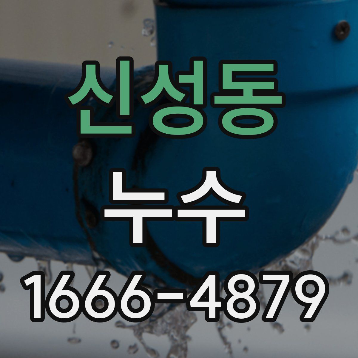 신성동 누수