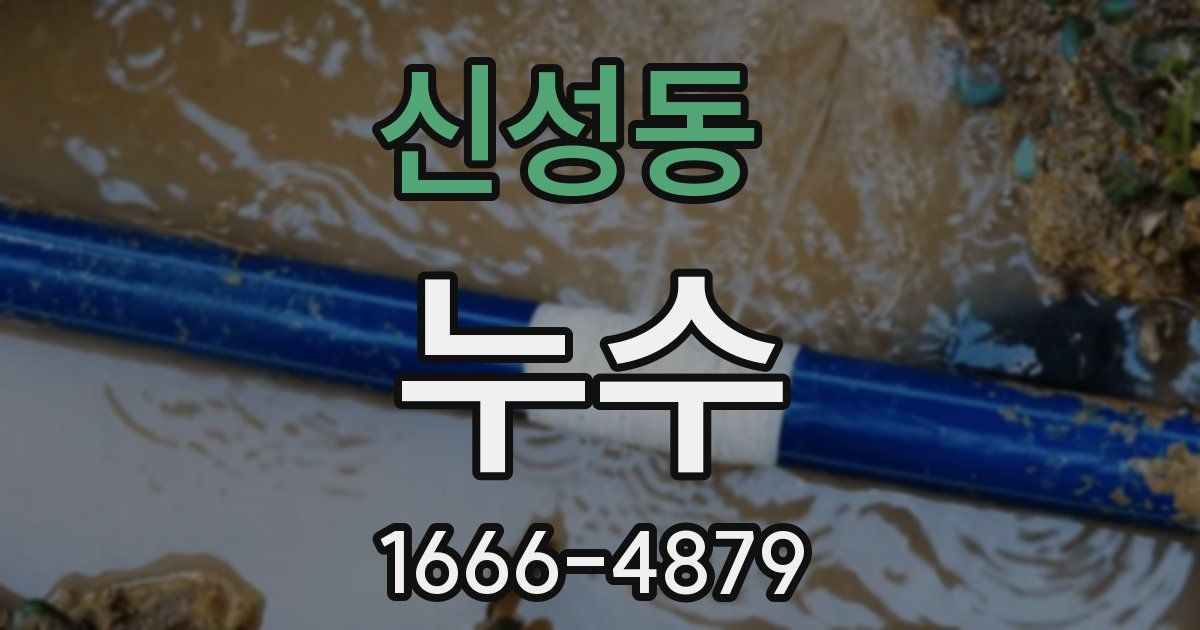 신성동 누수