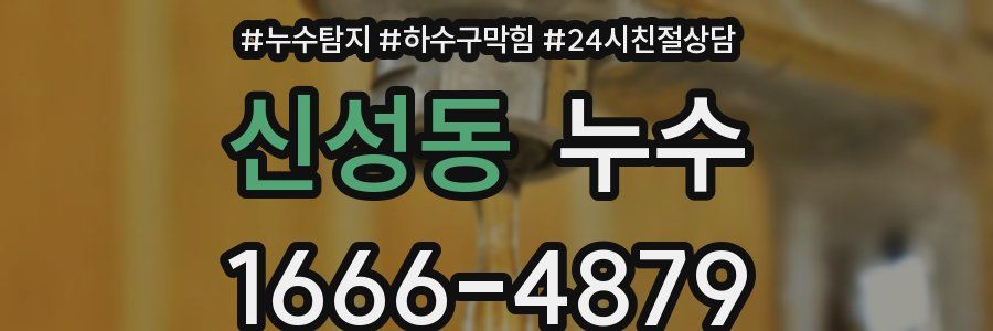 신성동 누수