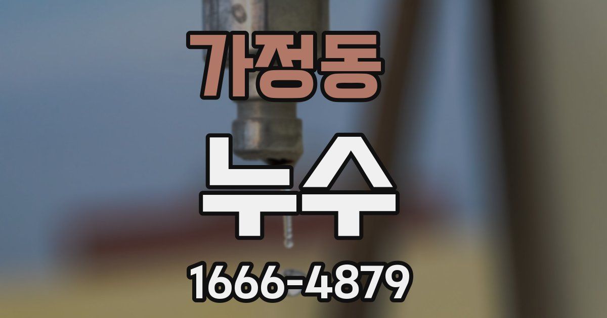 가정동 누수