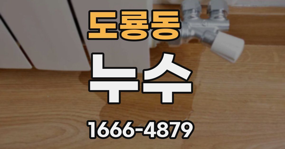 도룡동 누수