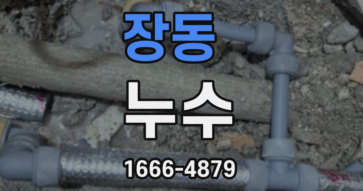 장동 누수