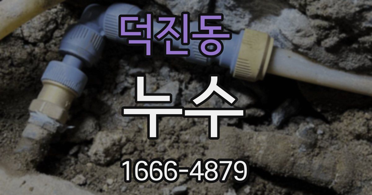 덕진동 누수