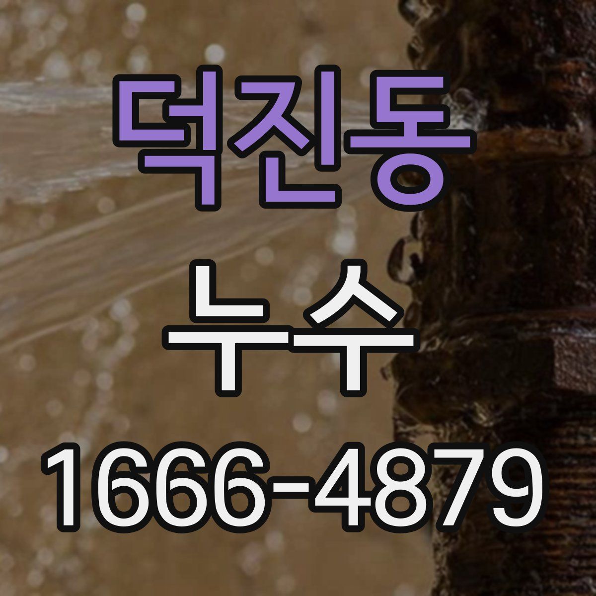 덕진동 누수