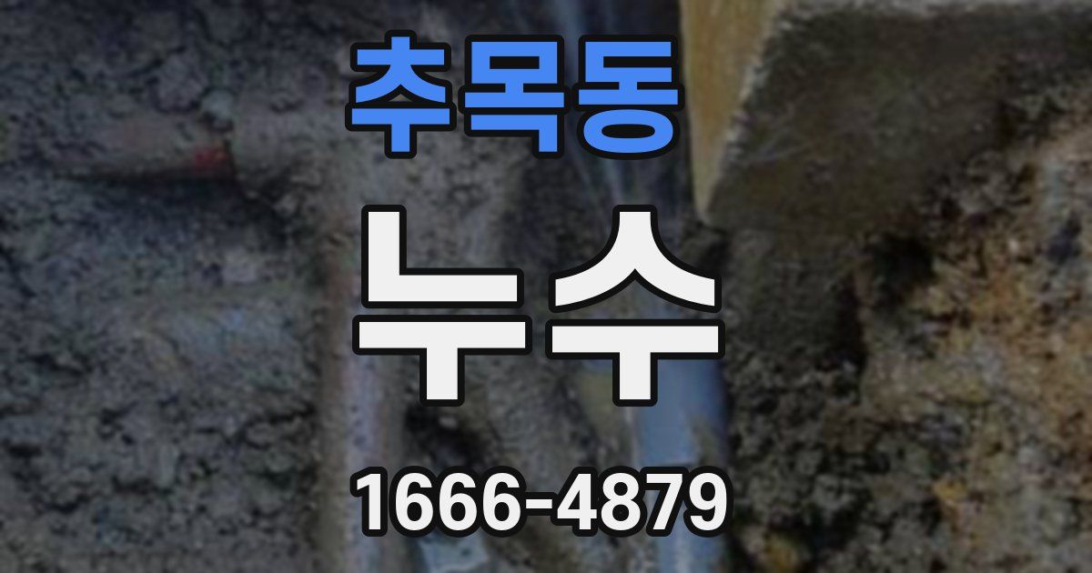 추목동 누수