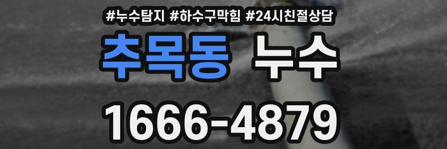 추목동 누수