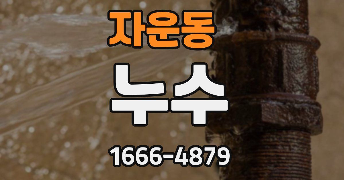 자운동 누수