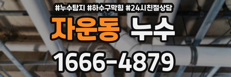 자운동 누수