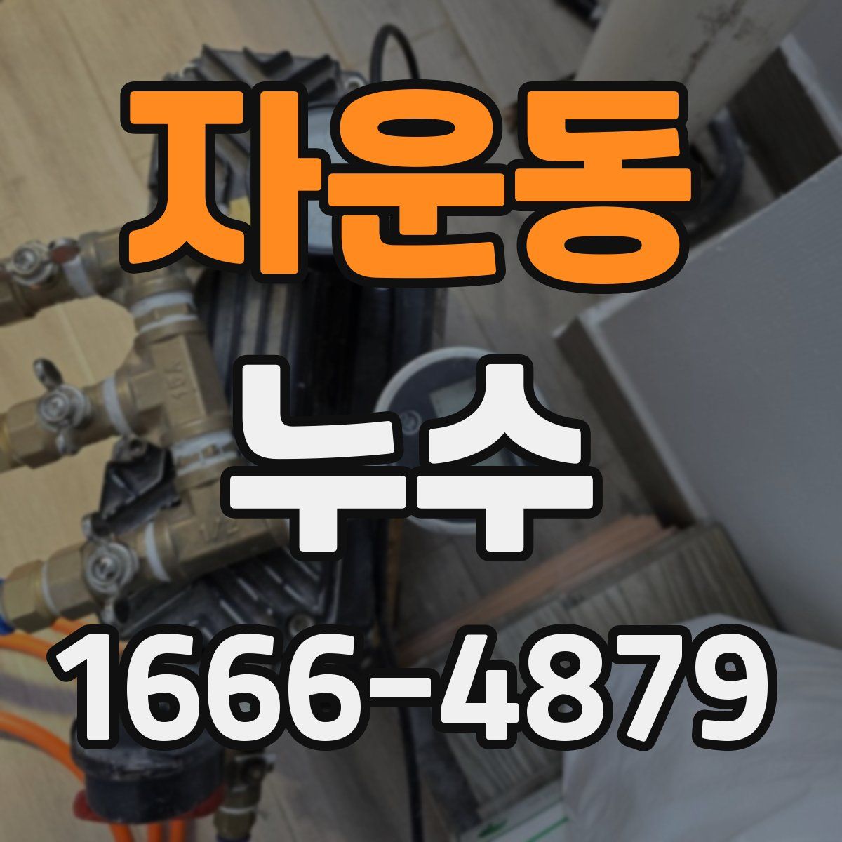 자운동 누수
