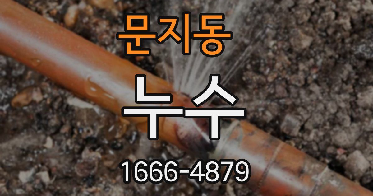 문지동 누수