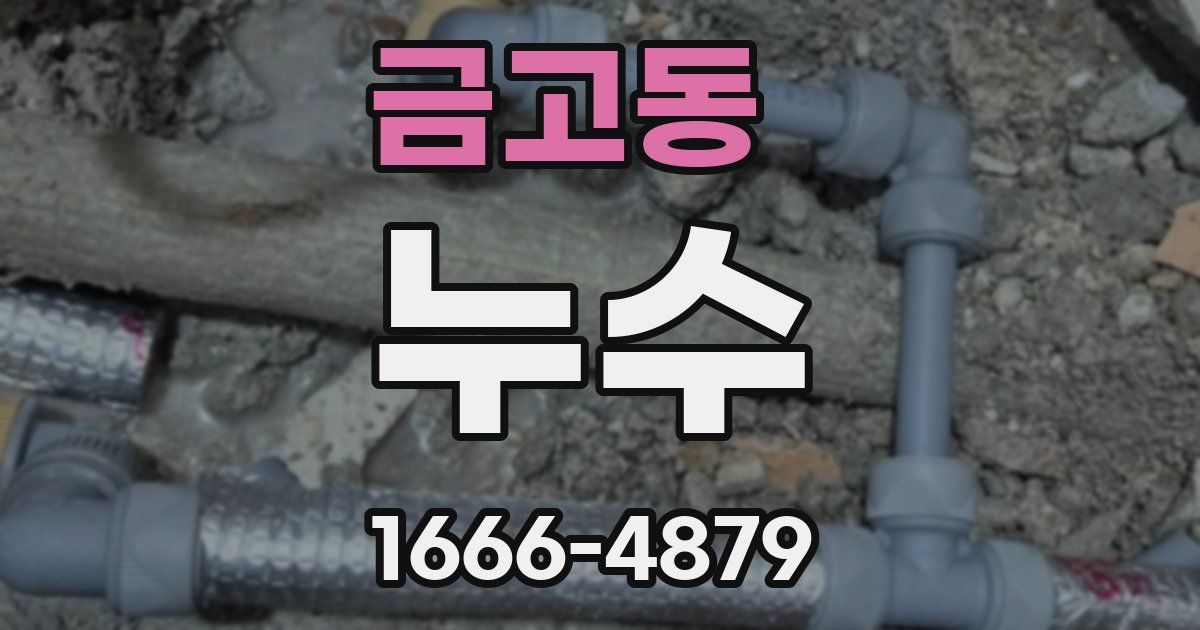 금고동 누수