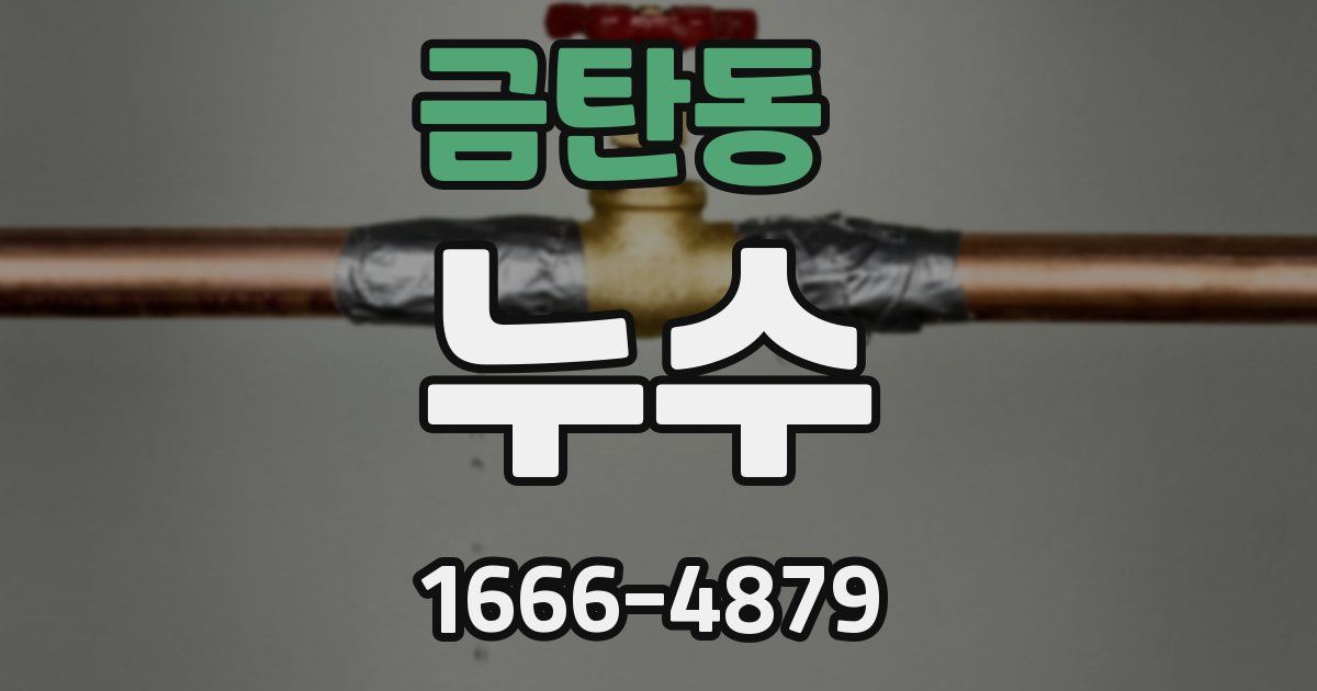 금탄동 누수