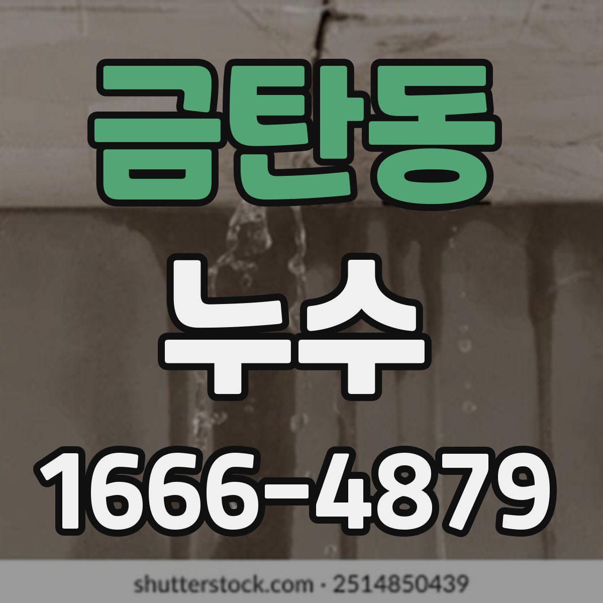 금탄동 누수