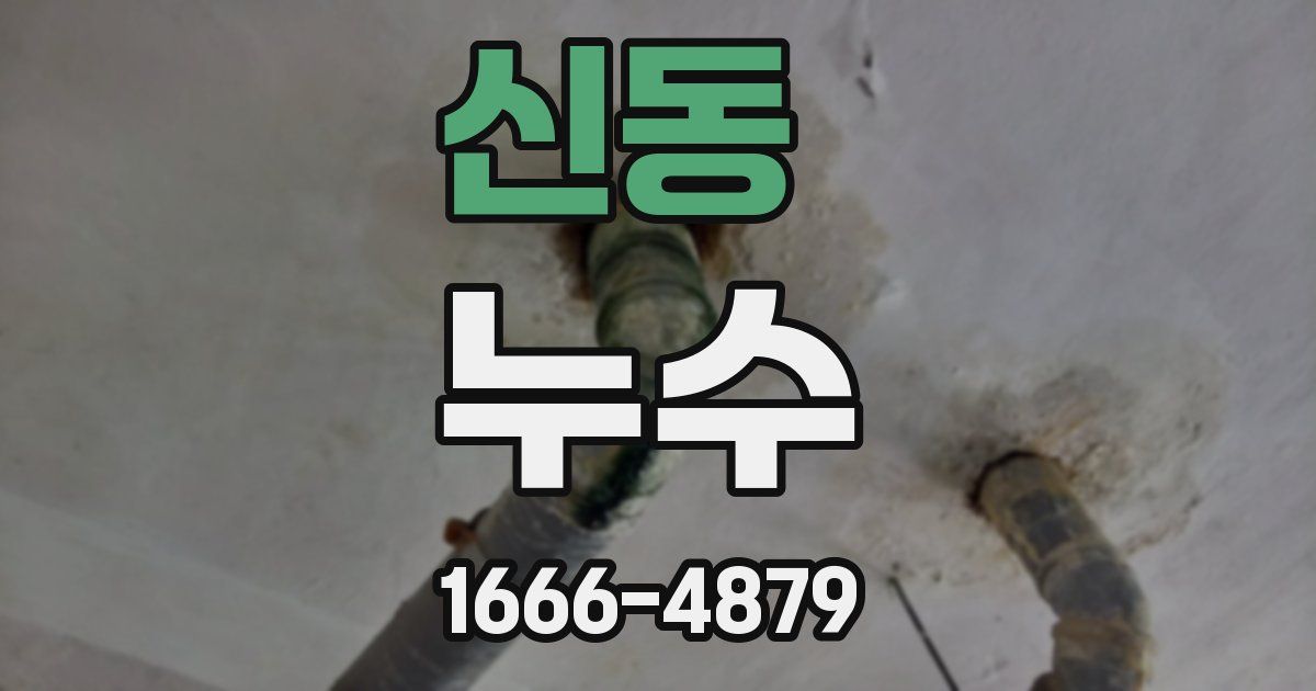 신동 누수