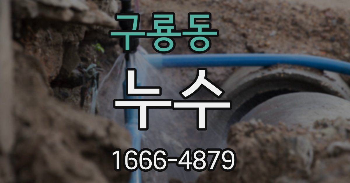 구룡동 누수